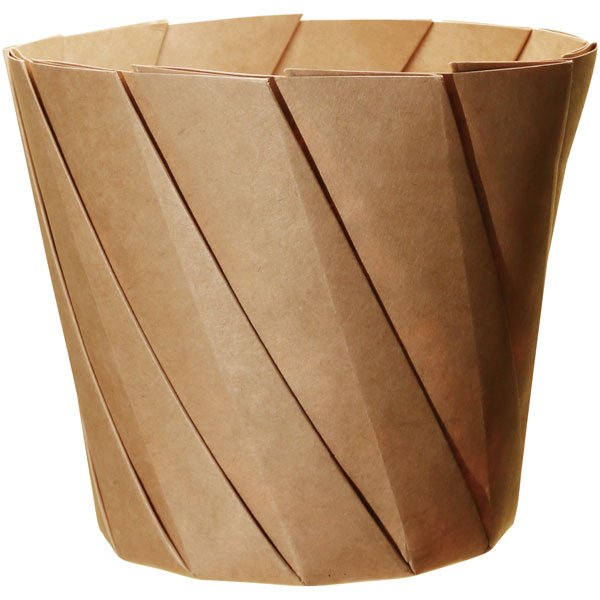 ���肪�݃J�b�v�@��@���@�X�U�O����