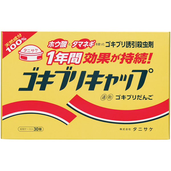 �S�L�u���L���b�v�@�R�O��